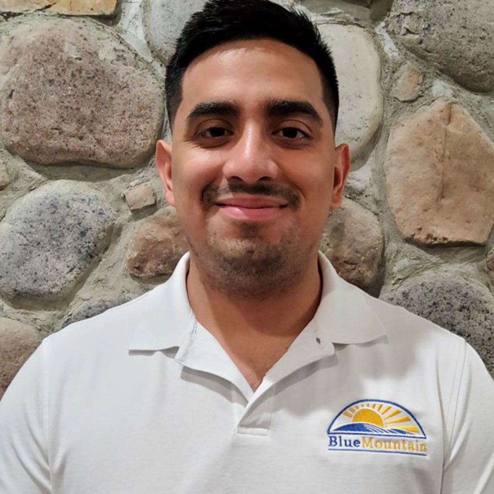 Professional Landscaping Services